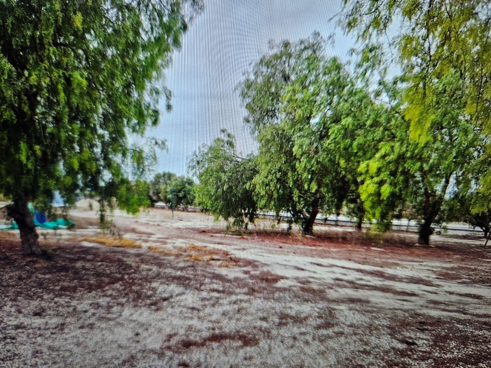 17129933755-6