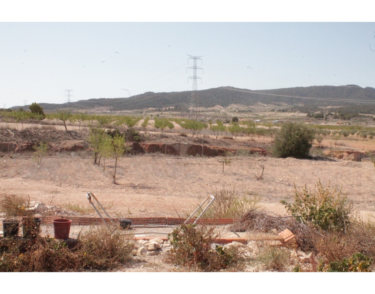 19811-country-house-for-sale-in-torre-del-rico-1004253-large
