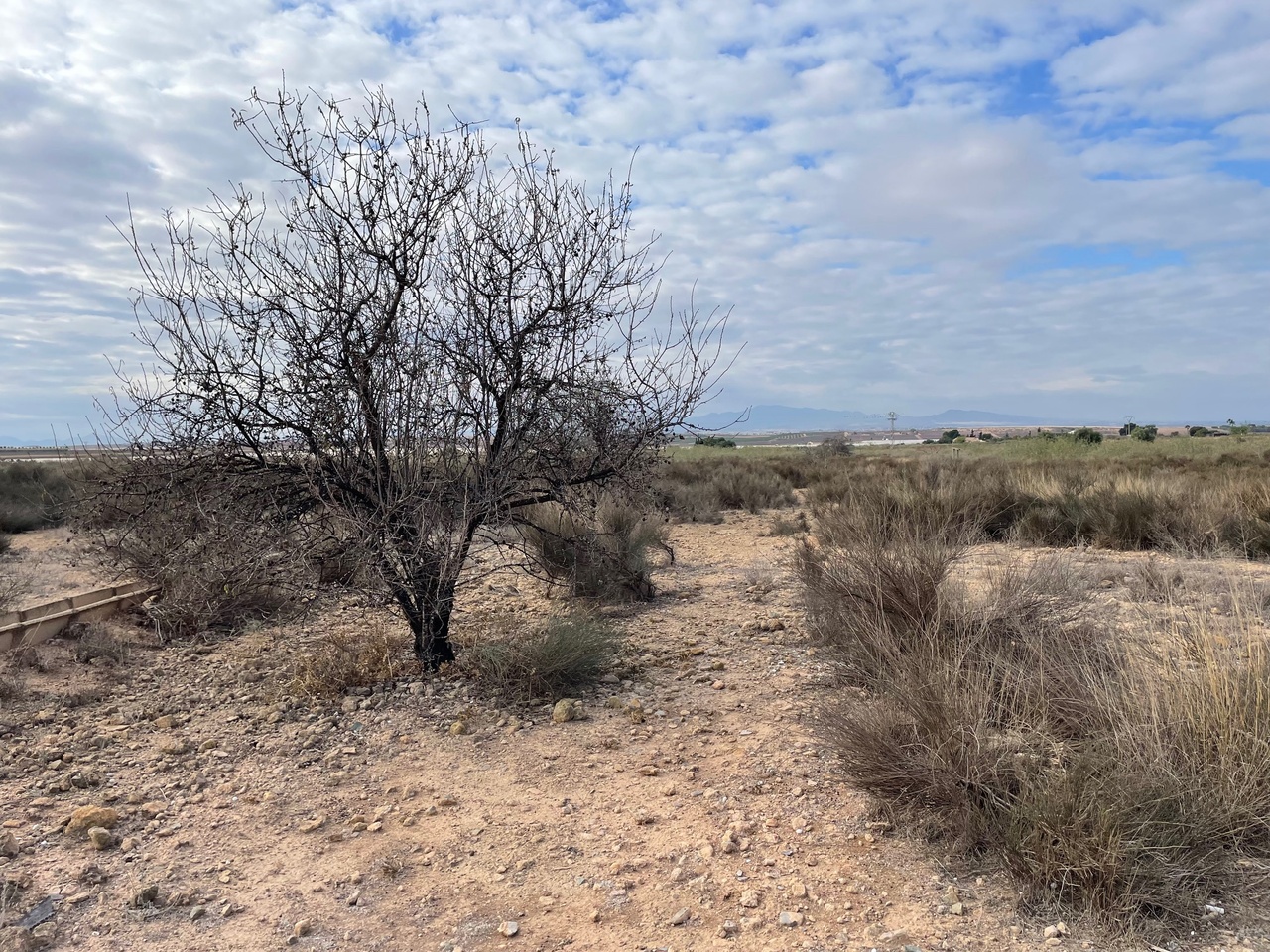 43038-land-for-sale-in-alhama-de-murcia-4637340-large