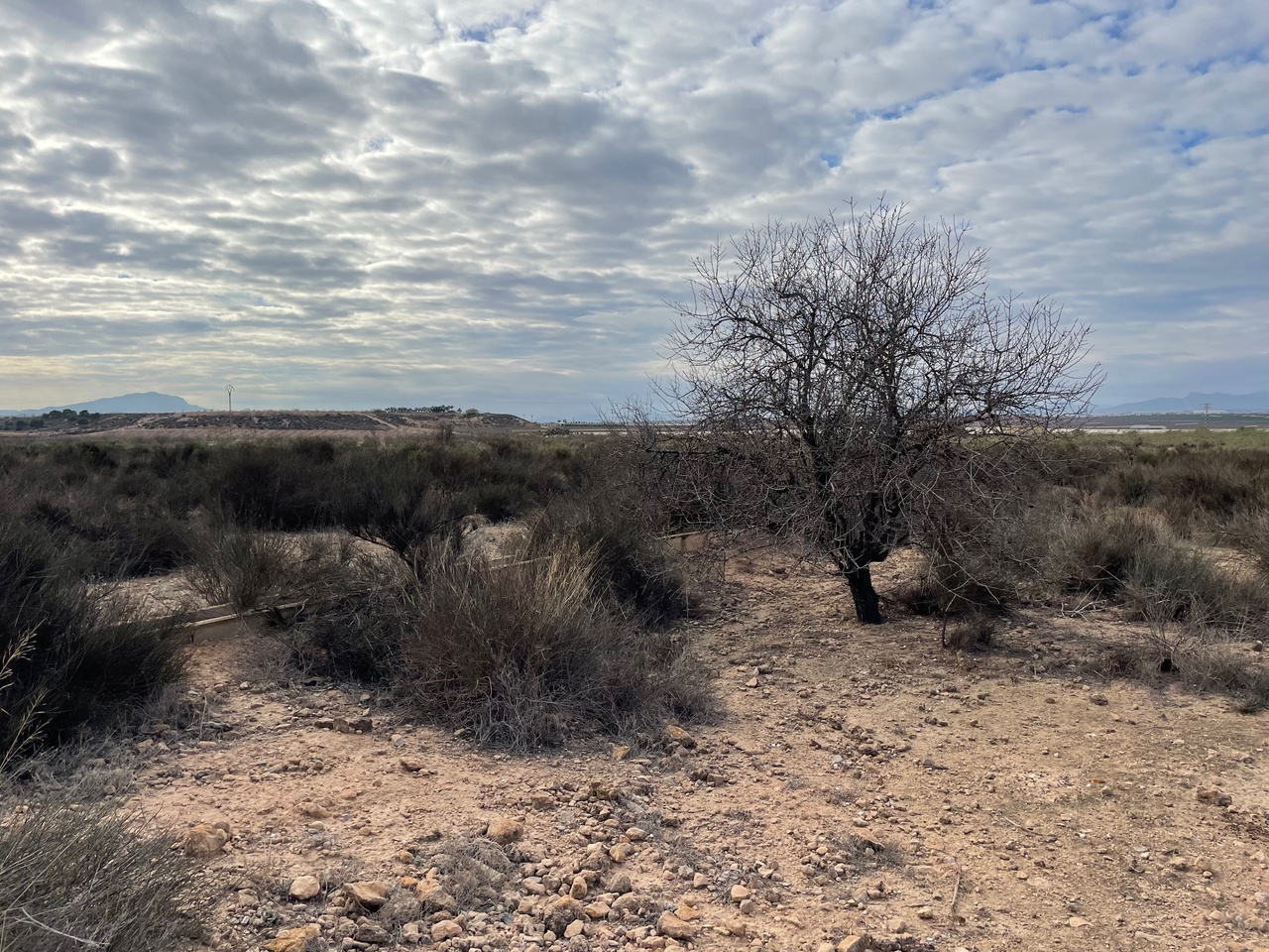 43038-land-for-sale-in-alhama-de-murcia-4637342-large