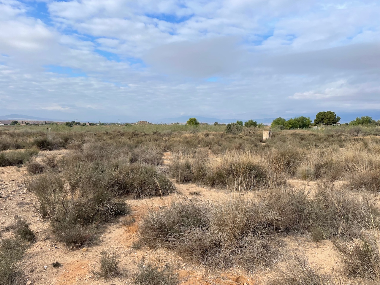 43038-land-for-sale-in-alhama-de-murcia-4637343-large
