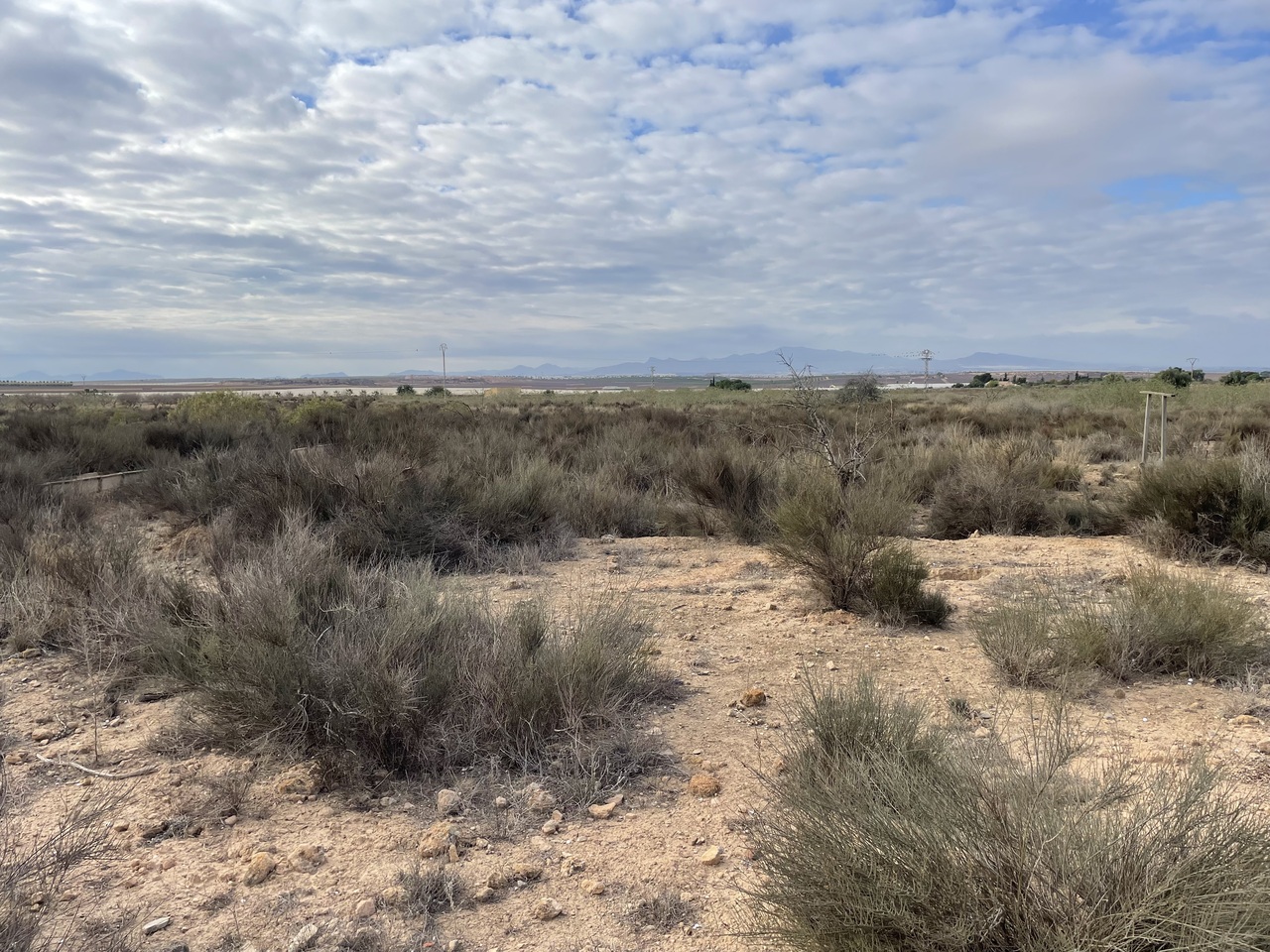 43038-land-for-sale-in-alhama-de-murcia-4637344-large