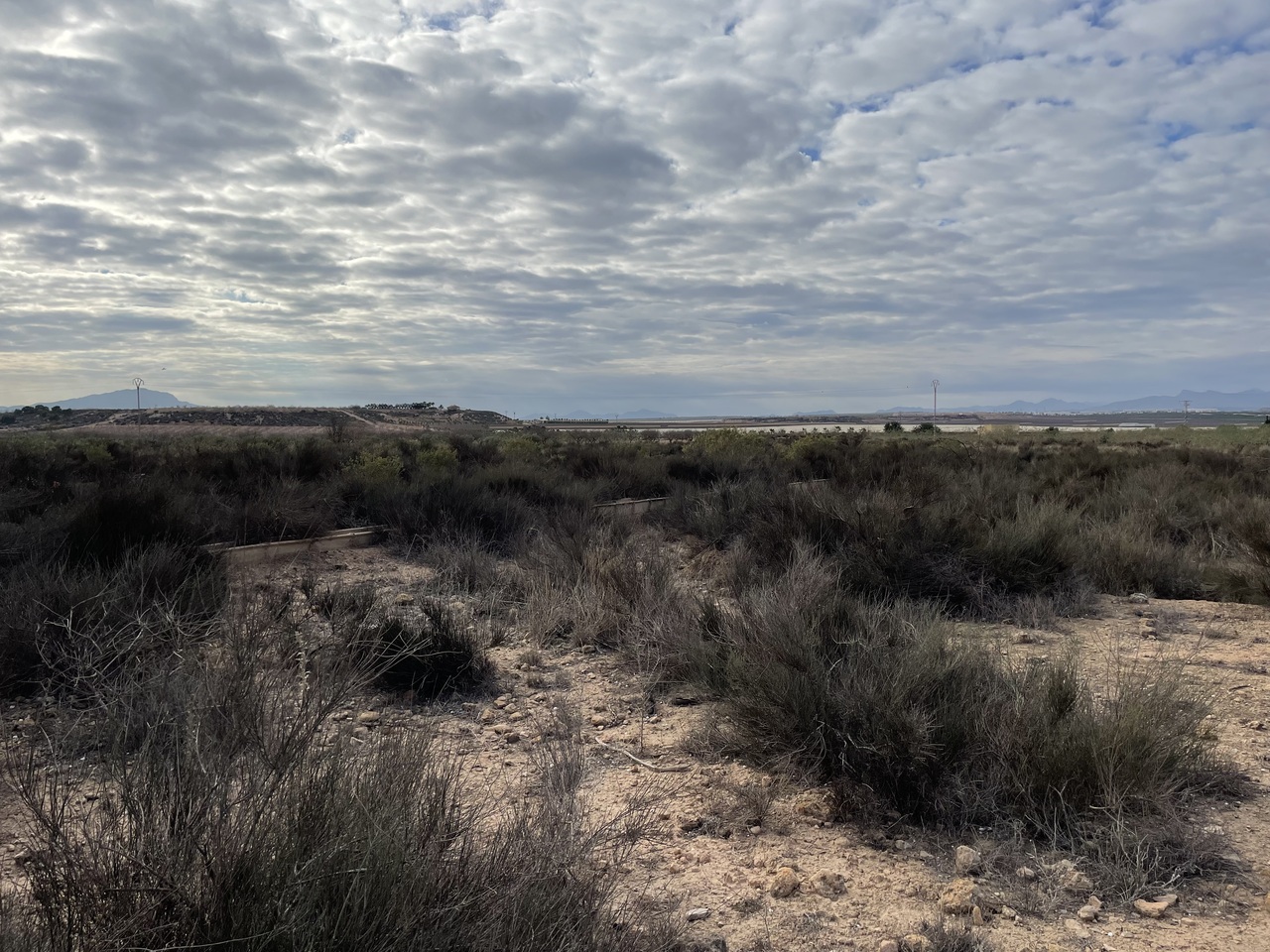 43038-land-for-sale-in-alhama-de-murcia-4637345-large